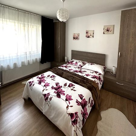 Iali Apartment シナヤ エクステリア 写真