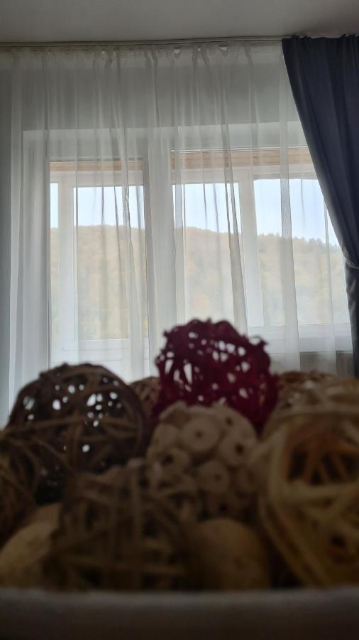 Iali Apartment シナヤ エクステリア 写真